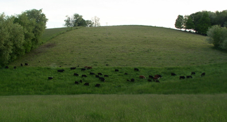 rotationalgrazing