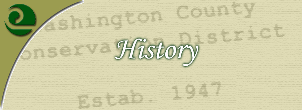 history